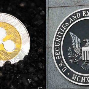 General counsel at Ripple has criticized recent move of the SEC in court during Ripple case